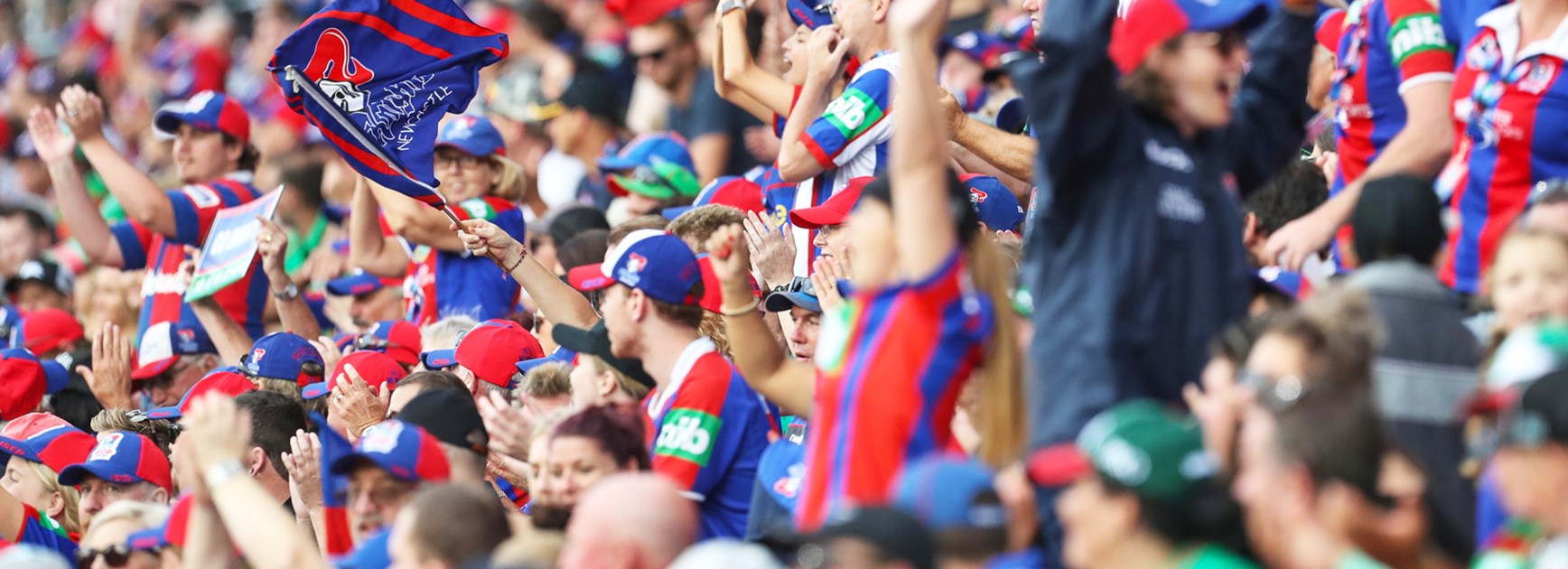 The Newcastle Knights have been blessed with fantastic support from their fans this season.