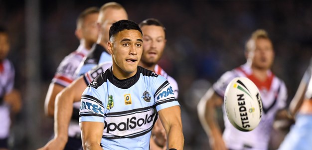 Sharks:2017 by the numbers