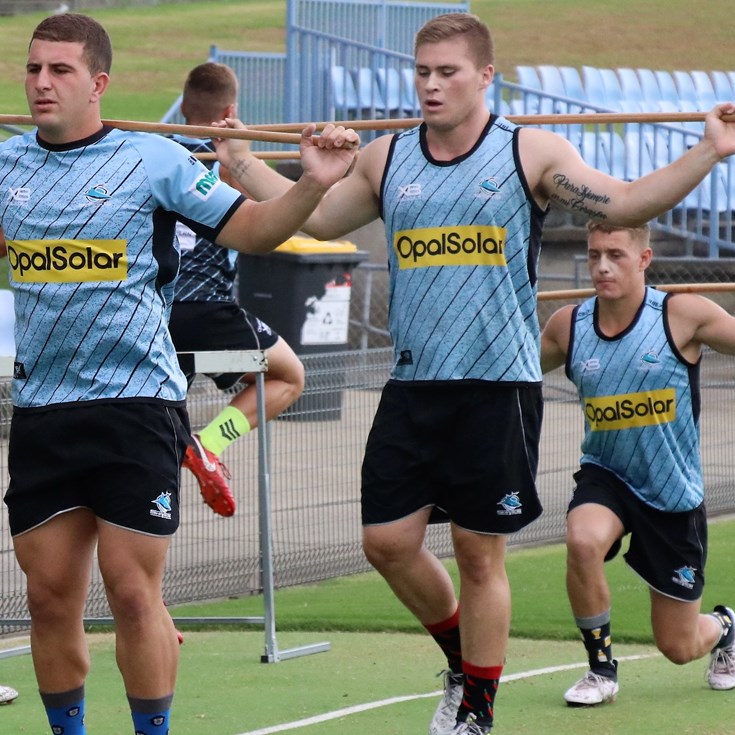 Billy shaping as possible Gal successor