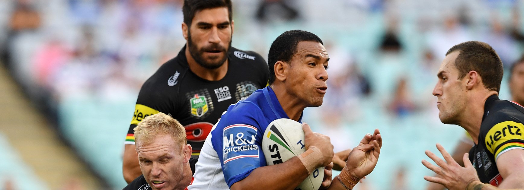 Dogs' new-look spine coming together: Hopoate