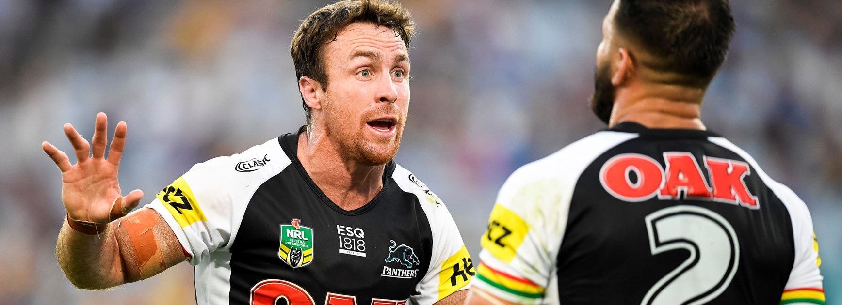 Penrith Panthers halfback James Maloney.