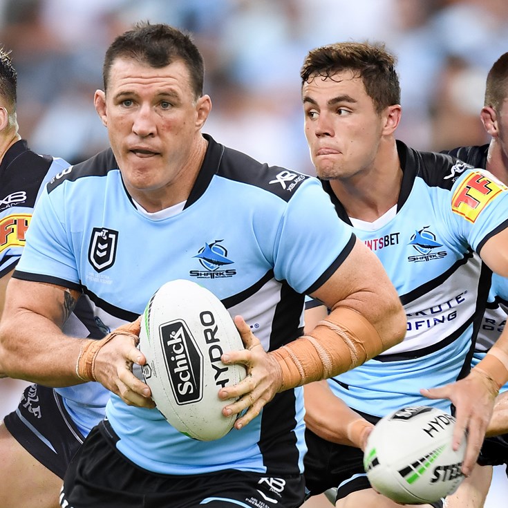 Academy Sharks stepping up