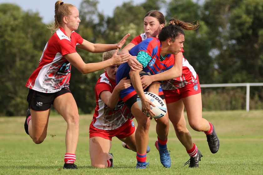 The Knights are hoping to land a NRLW team.