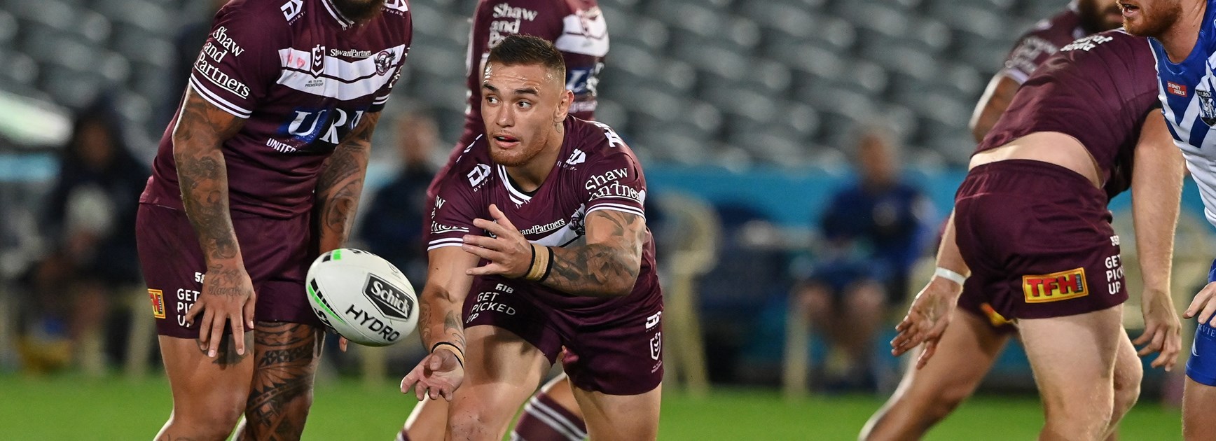 Levi lands on his feet at Sea Eagles nest