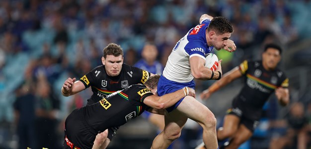 Hayes Channels Dogs of Old