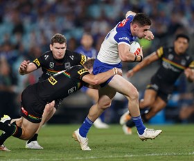 Hayes Channels Dogs of Old