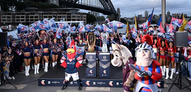 Knights riding wave of support as fans take over Harbour Bridge