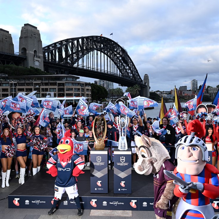 Knights riding wave of support as fans take over Harbour Bridge