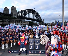 Knights riding wave of support as fans take over Harbour Bridge