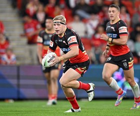 Return and earn your spot: Dolphins seek to solve forward puzzle