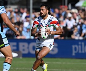 NRL Judiciary: Pompey cops two-match ban; Laulilii, Fale out for one
