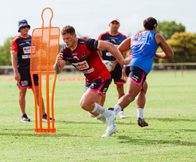 Knowles knows place in Woolf's forward pack no locked-in deal