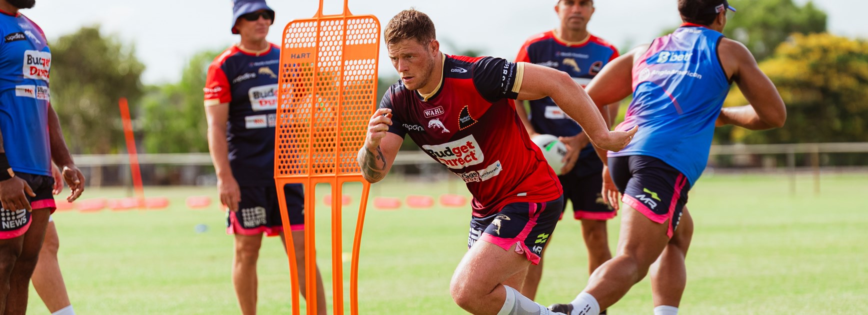 Knowles knows place in Woolf's forward pack no locked-in deal