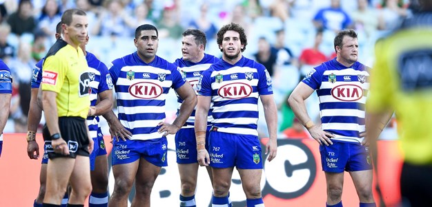 Dogs frustrated over controversial try
