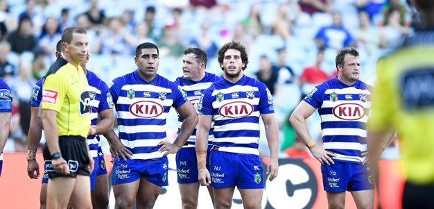 Dogs frustrated over controversial try