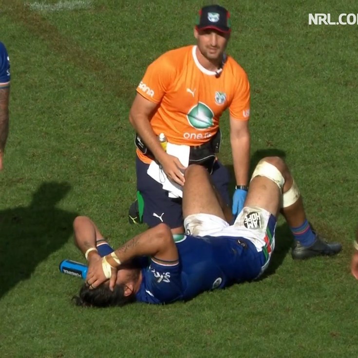 Harris injures knee