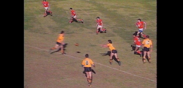 Steelers v Tigers - Round 15, 1990