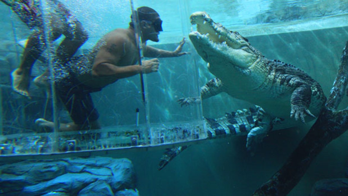 Willie Mason comes face to face with a crocodile in the 'Cage of Death'.