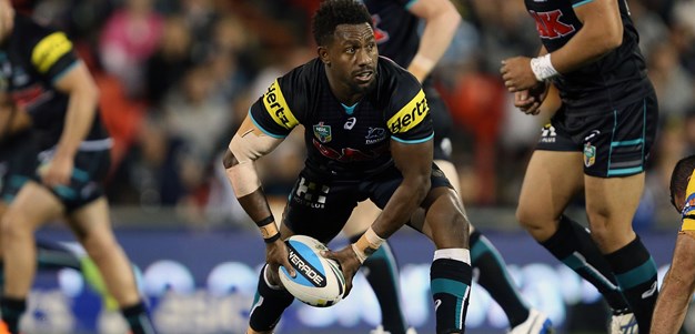 Panthers dismiss wooden spoon fears