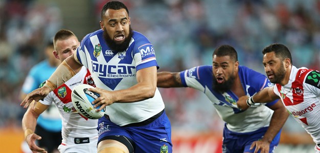 Hasler: Dogs didn't handle the pressure