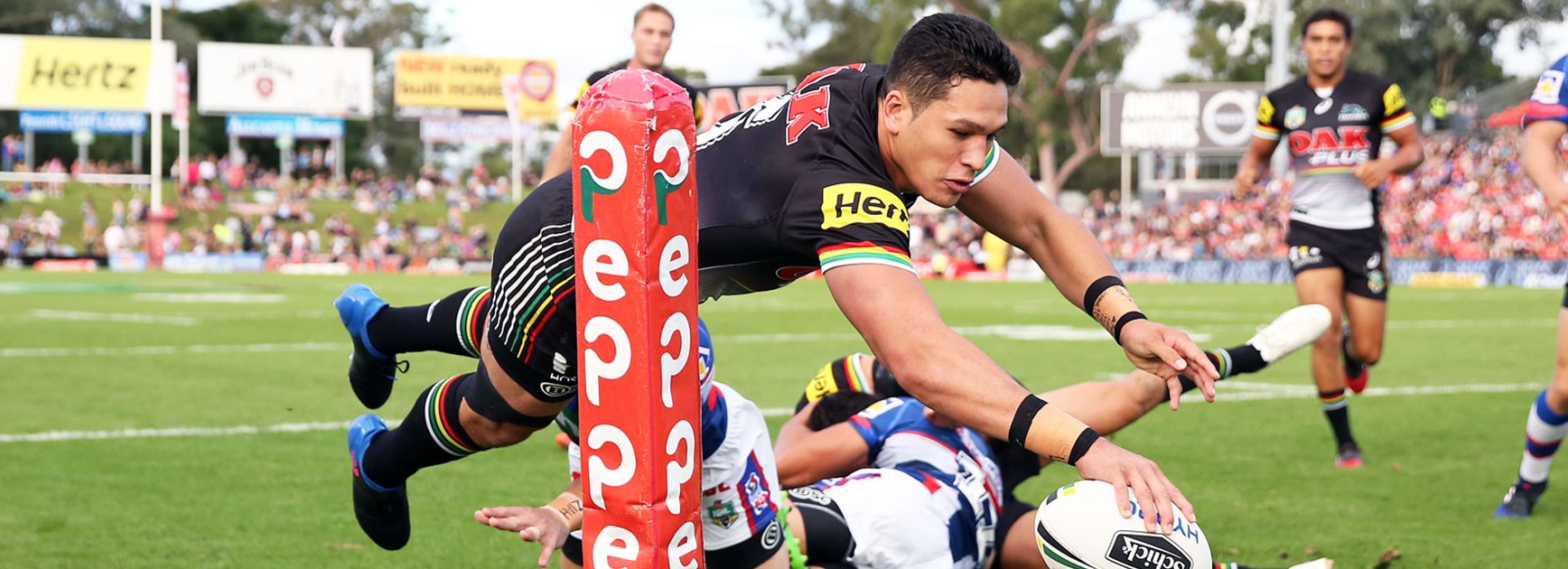 Panthers winger Dallin Watene-Zelezniak dives over for a try against the Knights.