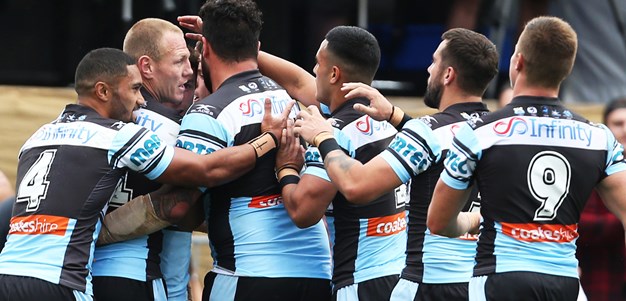Clinical Sharks outclass Panthers