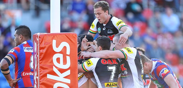 Panthers rally to down Knights