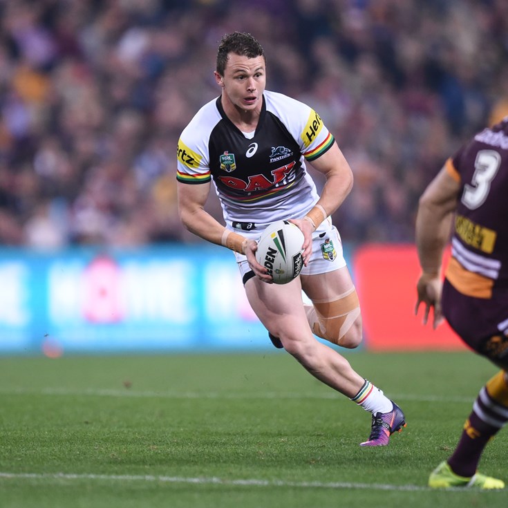 Panthers: 2017 by the numbers