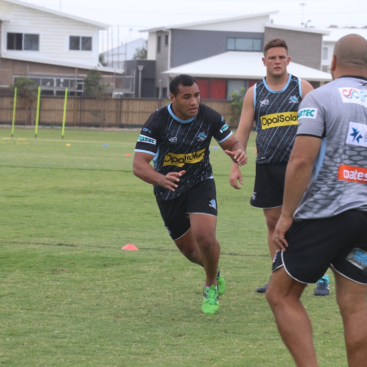 Why new Shark Seumanufagai left the Tigers