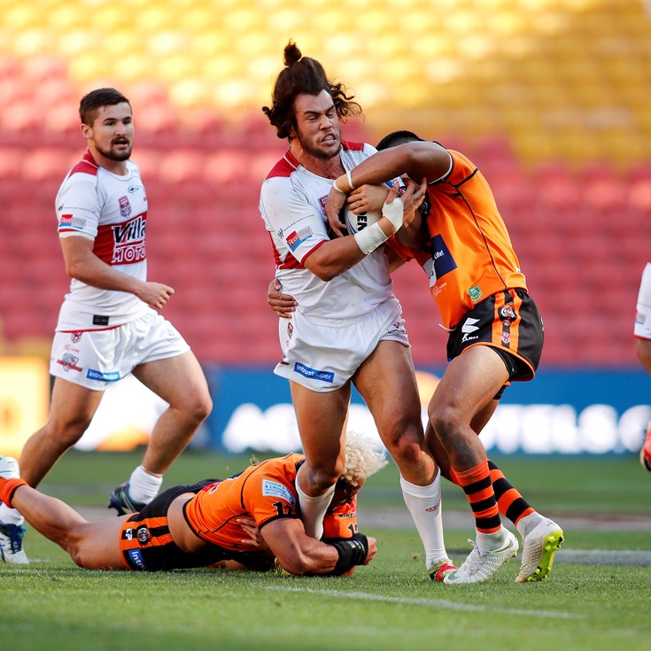 Sharks recruit Rudolf red-hot as Dolphins sink Tigers