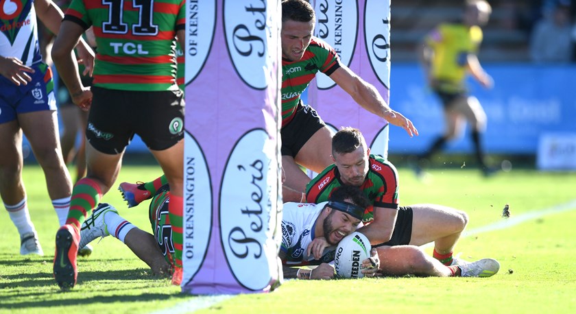 Jazz Tevaga scores a try against South Sydney.