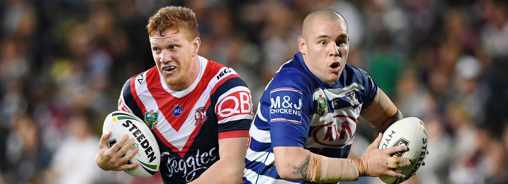 Klemmer signs with Knights, Napa joins Bulldogs