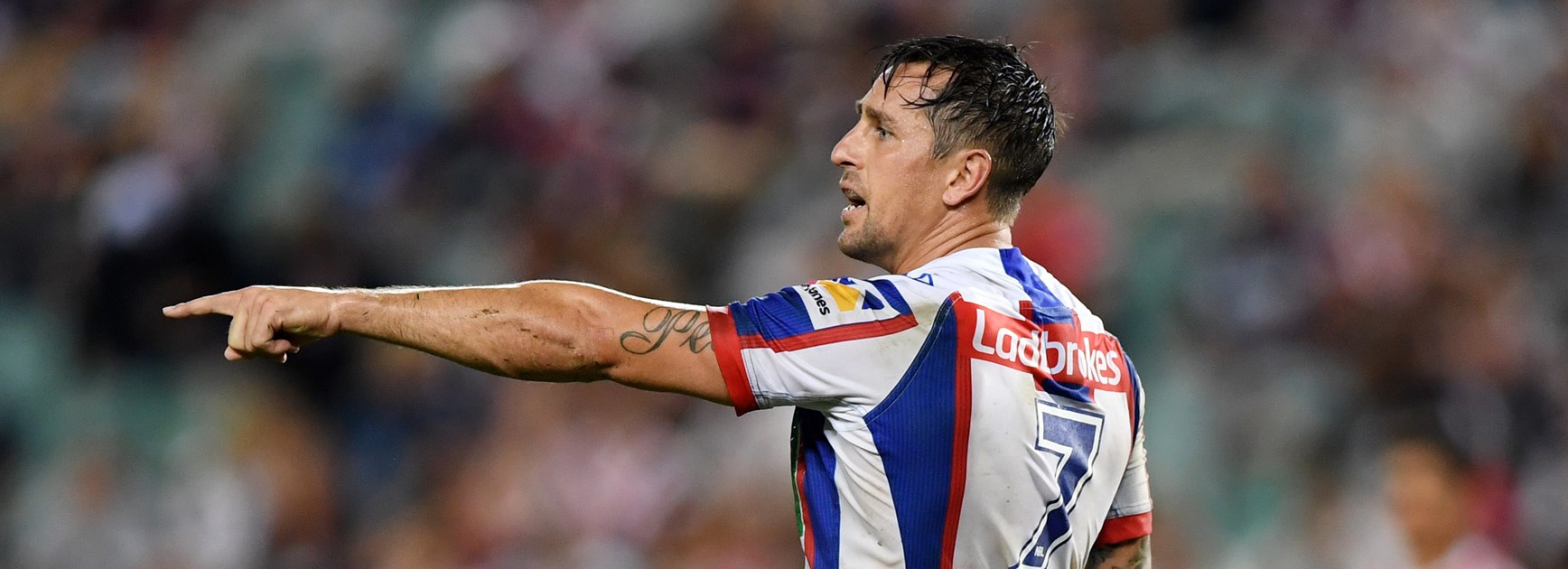 Knights halfback Mitchell Pearce.