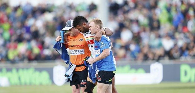 Panthers left devastated by horrendous injury toll