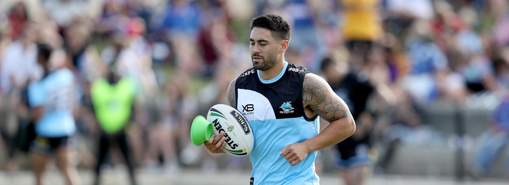 Experienced Sharks key difference for Johnson thriving after Warriors exit