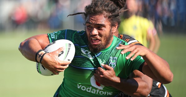 Papali'i stood down after drink-driving offence