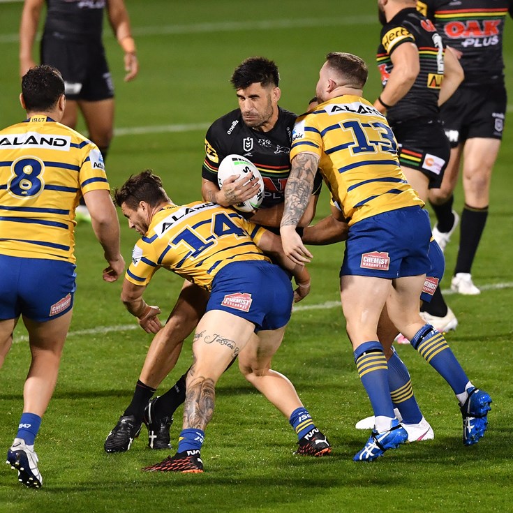 Wife knows best: Tamou leaves Tigers call in safe hands