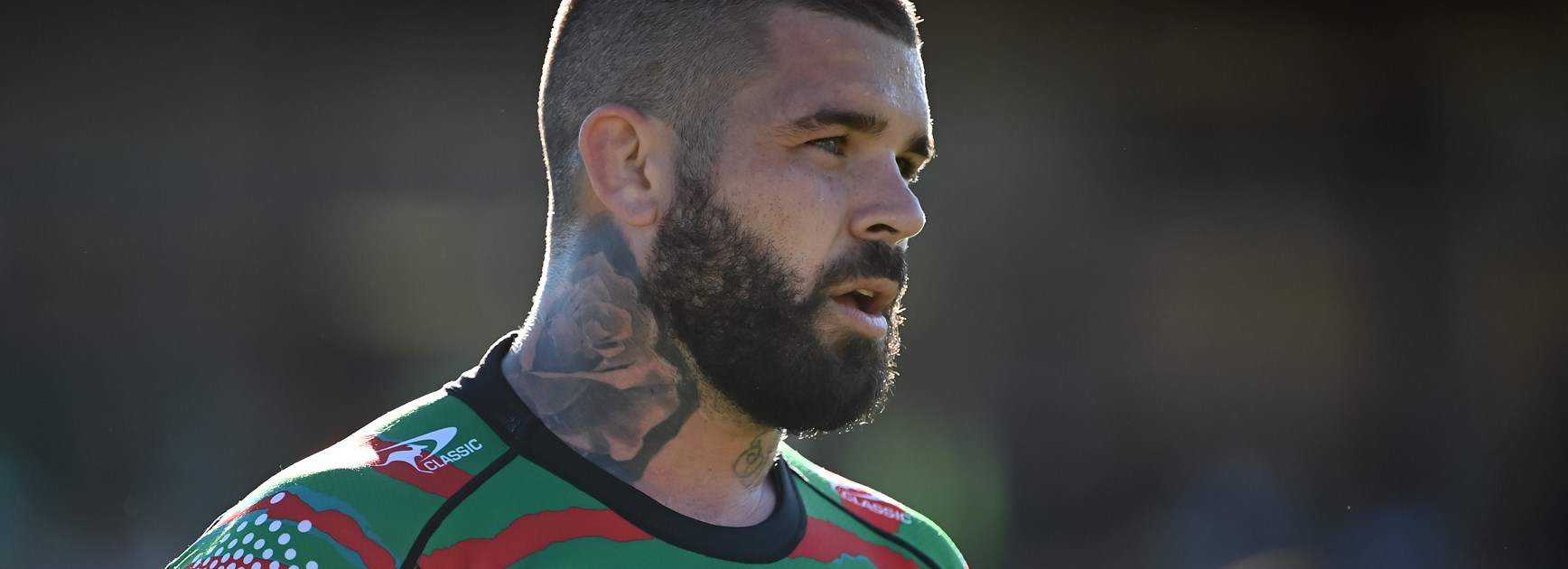 'Use the hurt to get better': Reynolds backs Bunnies to rebound