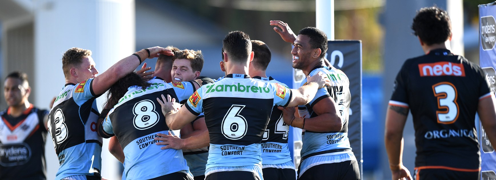 Sharks players celebrate a try.