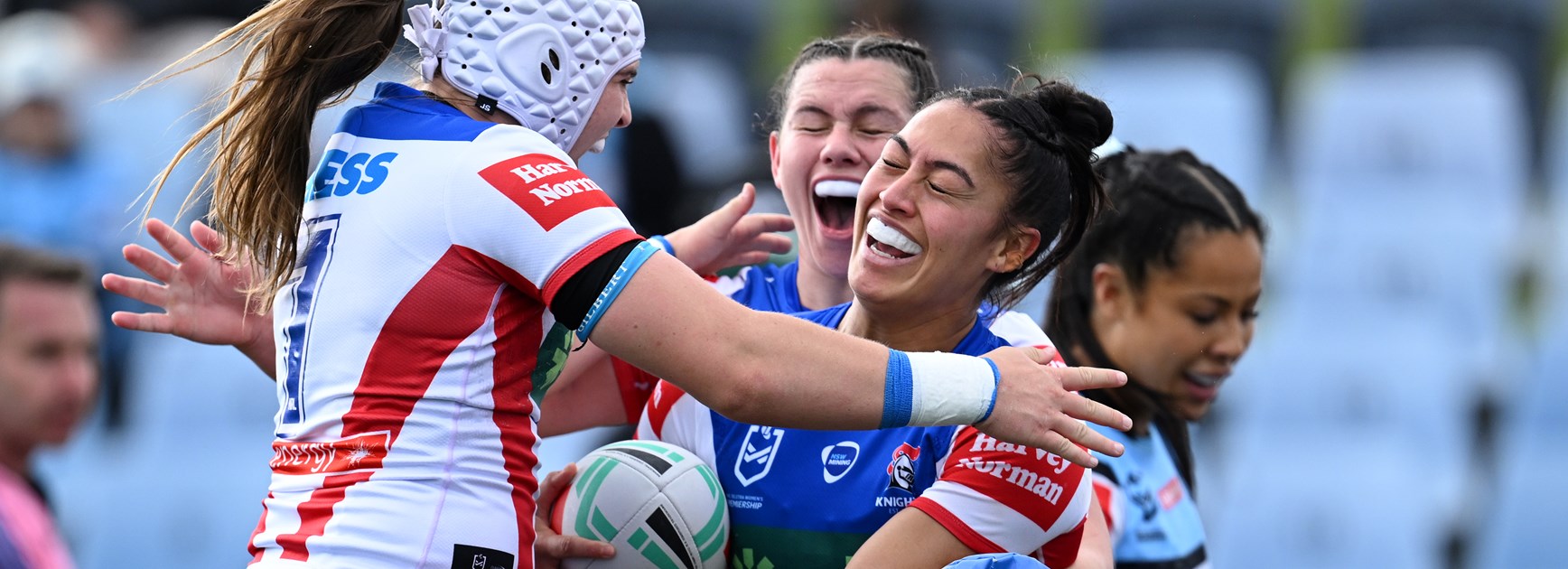 Willison plays it cool in pursuit of more golden moments