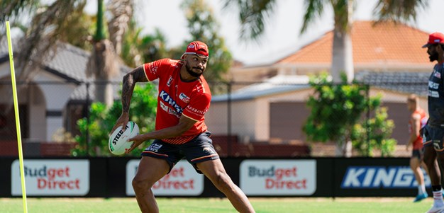 Hammer, Herbie head up Dolphins Fantasy hit list