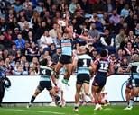 Don't miss this special family ticket offer for Roosters-Sharks showdown