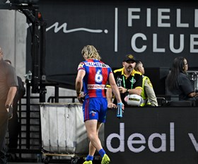 Sharpe on edge: Gun Knight faces nervous wait for scans