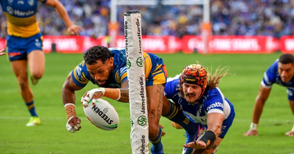 NRL Round 7: Roosters Stun Knights as Eels Face Bulldogs Test